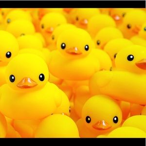 Meet your Posher, Julien